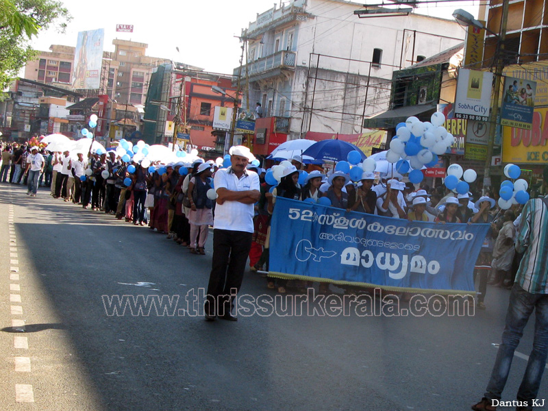 school-kalolsavam (15)